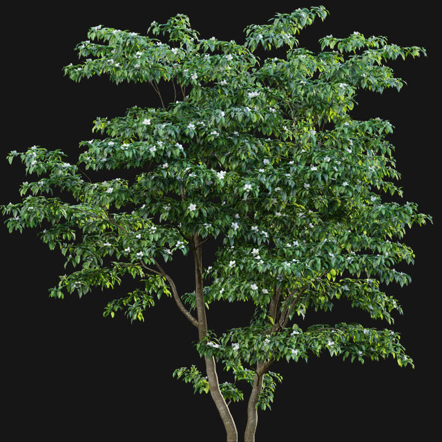 Bundle 14 -The Savills and David Harber Garden 3D model_103