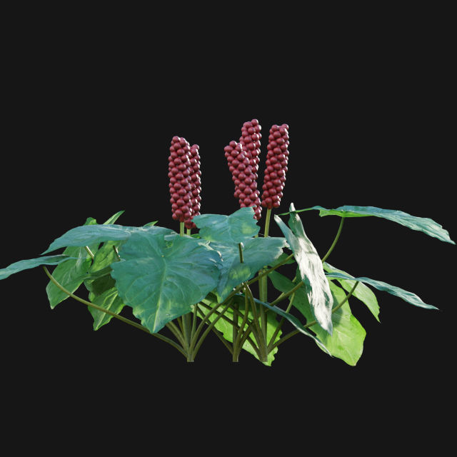 Bundle 14 -The Savills and David Harber Garden 3D model_55