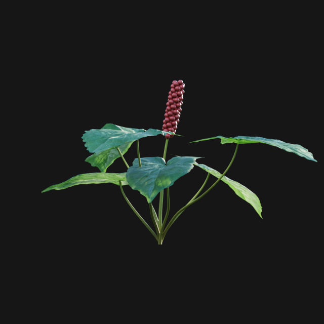 Bundle 14 -The Savills and David Harber Garden 3D model_52