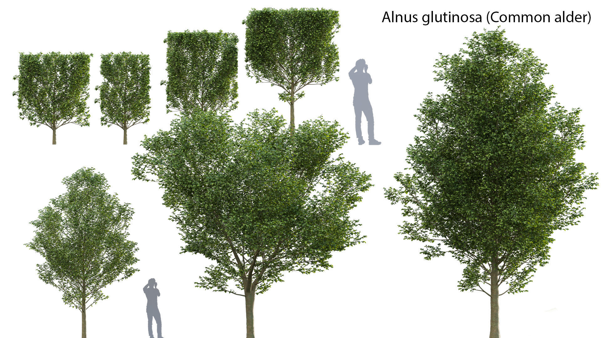 Bundle 14 -The Savills and David Harber Garden 3D model_19