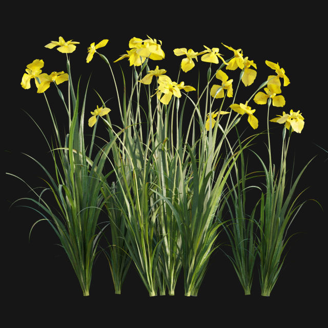 Bundle 14 -The Savills and David Harber Garden 3D model_92