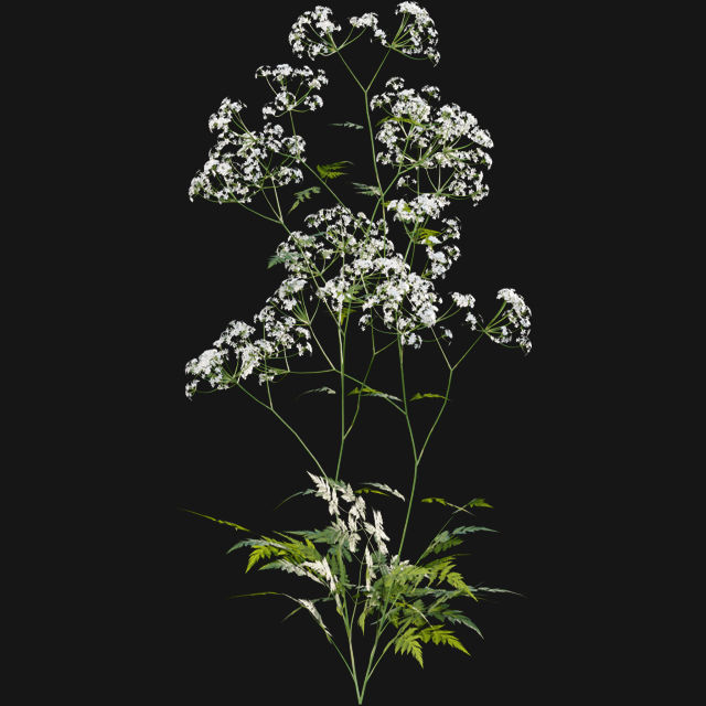 Bundle 14 -The Savills and David Harber Garden 3D model_42