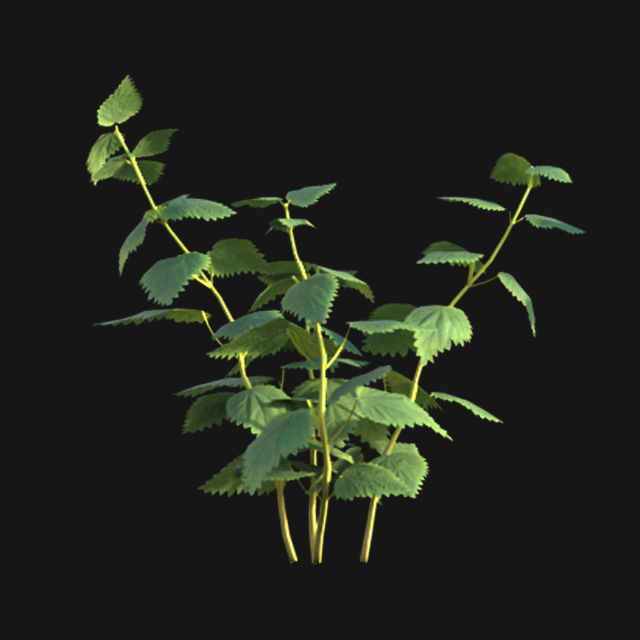 Bundle 14 -The Savills and David Harber Garden 3D model_93