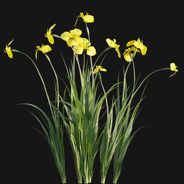 Bundle 14 -The Savills and David Harber Garden 3D model_86