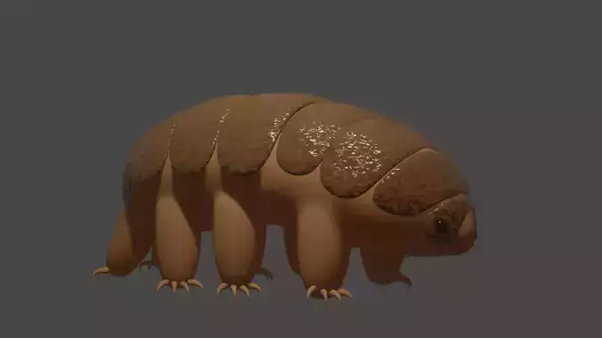 tardigrade animal 3D model
