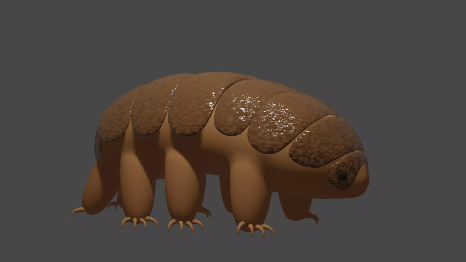 tardigrade animal 3D model