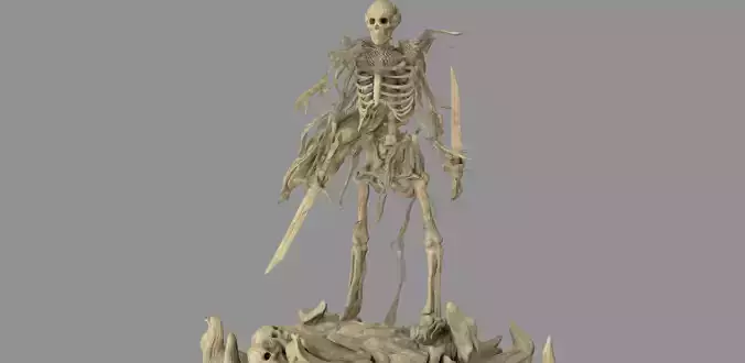 Pirate skeleton 3D model