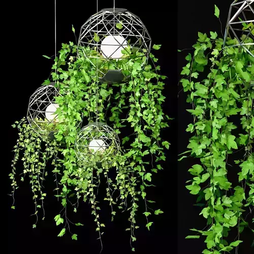 Ivy Hanging Plants Set