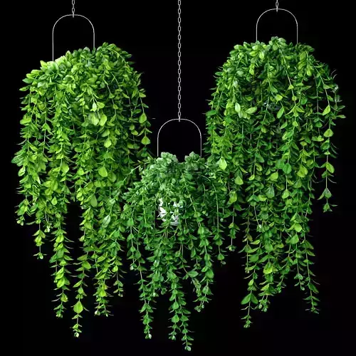 Artificial Trailing Plant Set