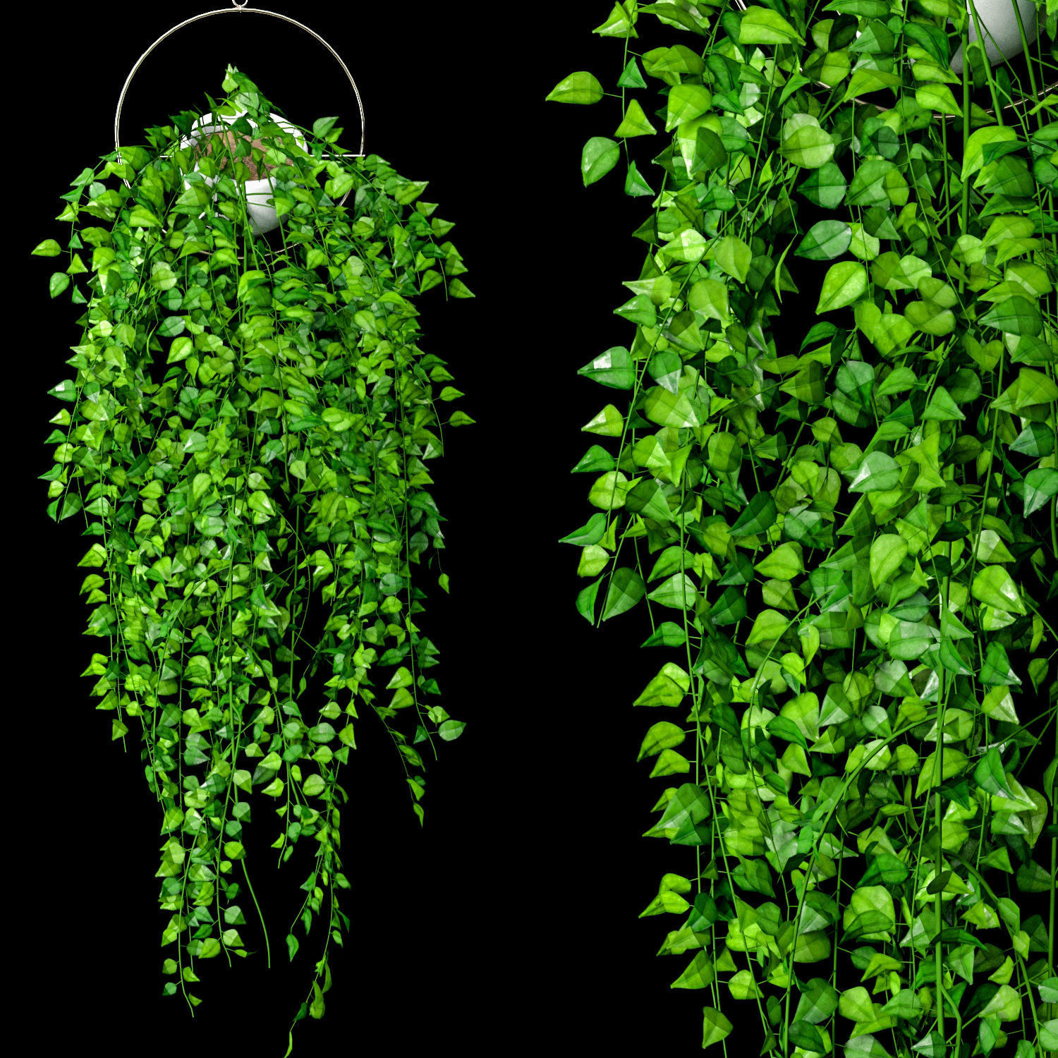 Artificial Sweeping Plant Set 3D model_2