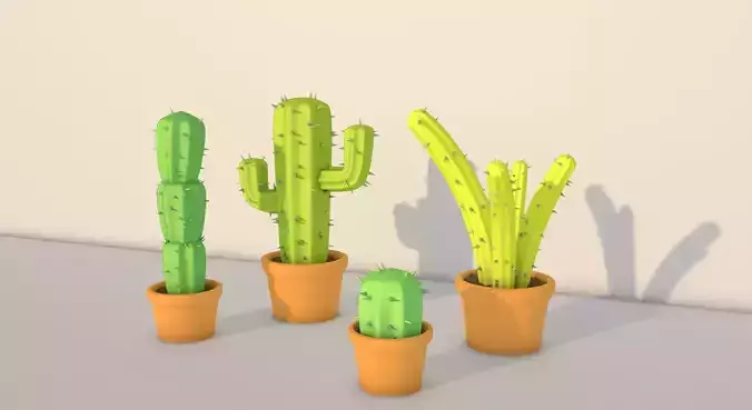 cactus three plants in pots