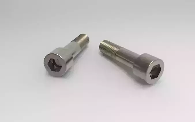 BrugolaM12 two stainless steel bolts 3D model