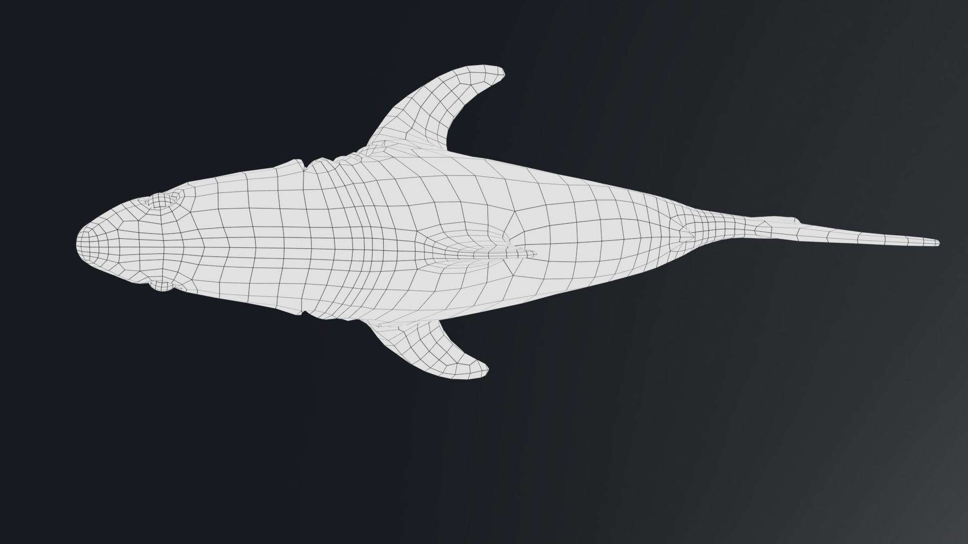 Baby Shark Model - 18 Animations Low-poly 3D model_13