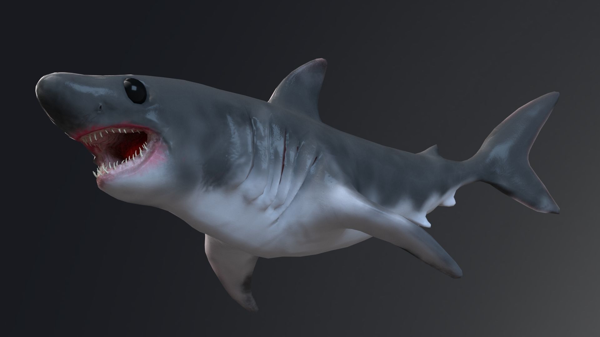 Baby Shark Model - 18 Animations Low-poly 3D model_10