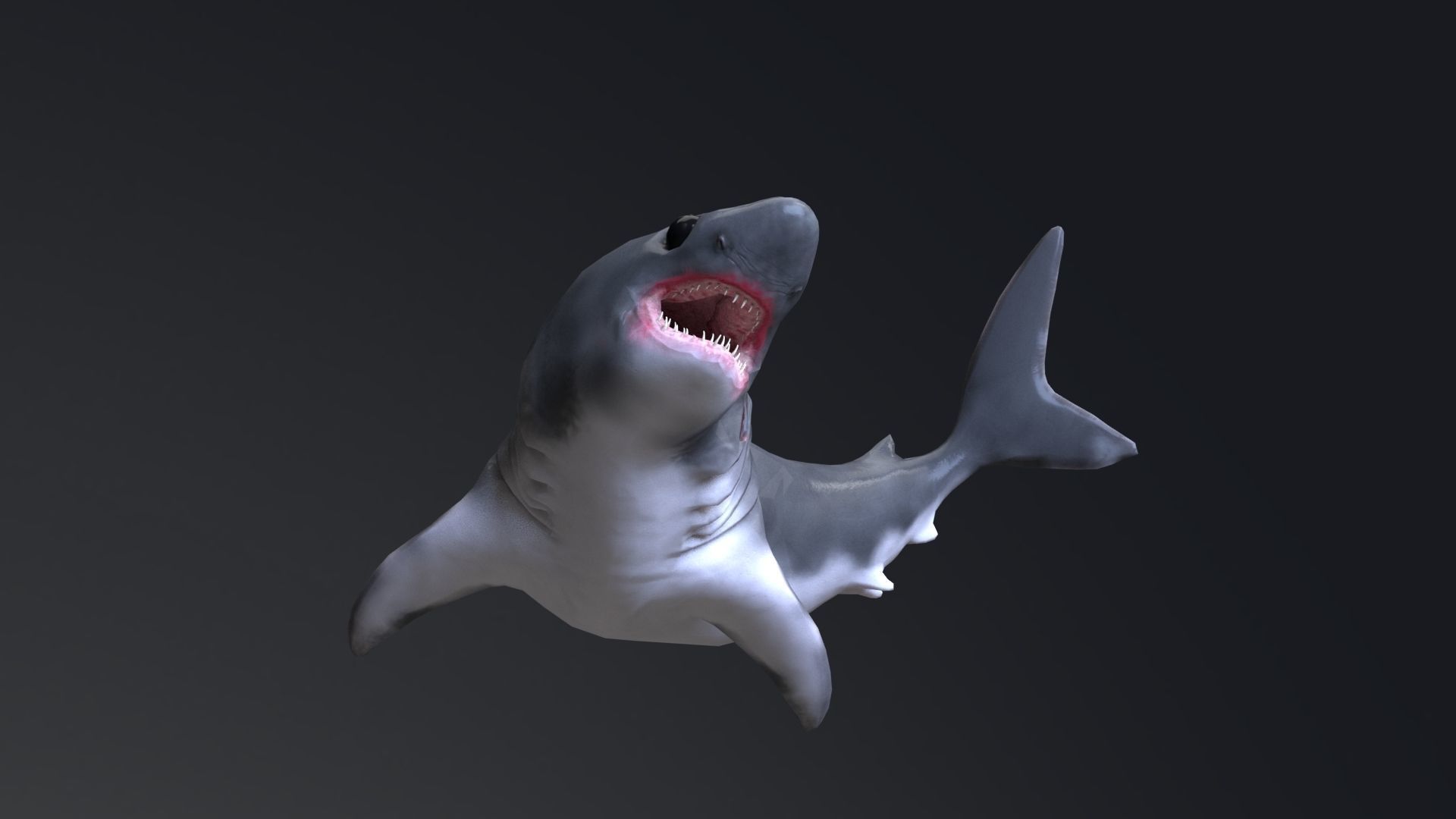 Baby Shark Model - 18 Animations Low-poly 3D model_4