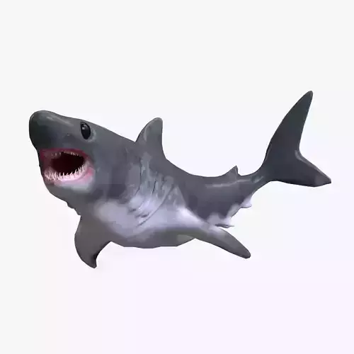 Baby Shark Model - 18 Animations Low-poly 3D model