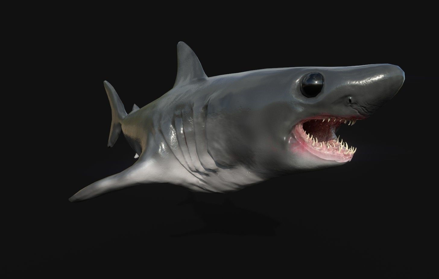 Baby Shark Model - 18 Animations Low-poly 3D model_11
