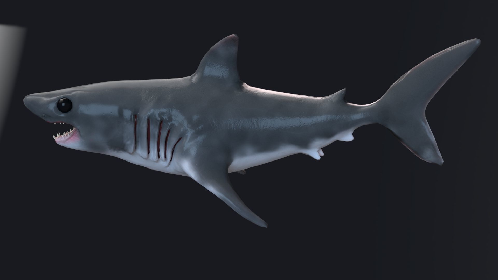 Baby Shark Model - 18 Animations Low-poly 3D model_9
