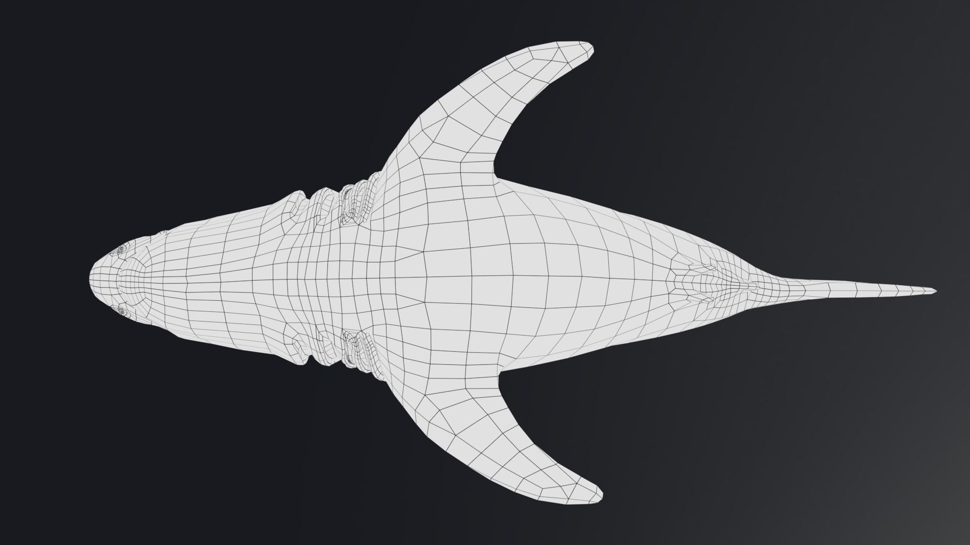 Baby Shark Model - 18 Animations Low-poly 3D model_14