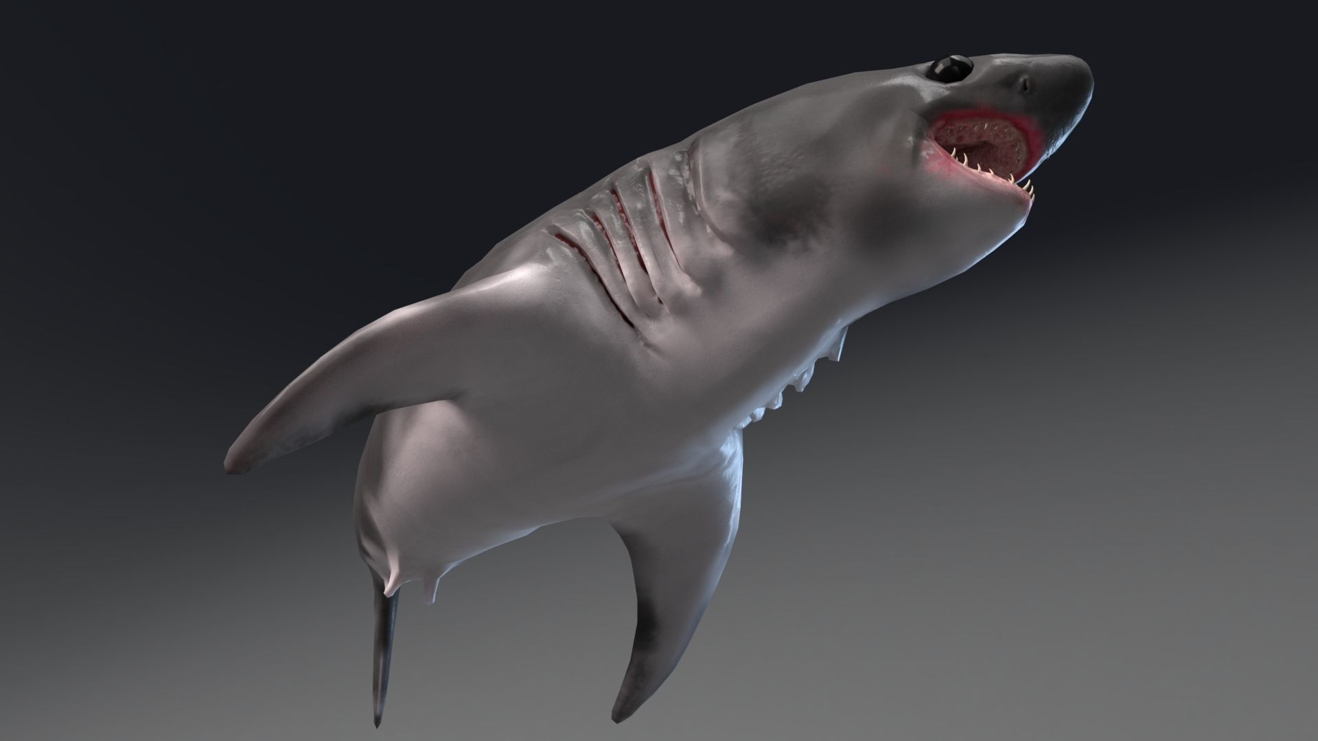 Baby Shark Model - 18 Animations Low-poly 3D model_8