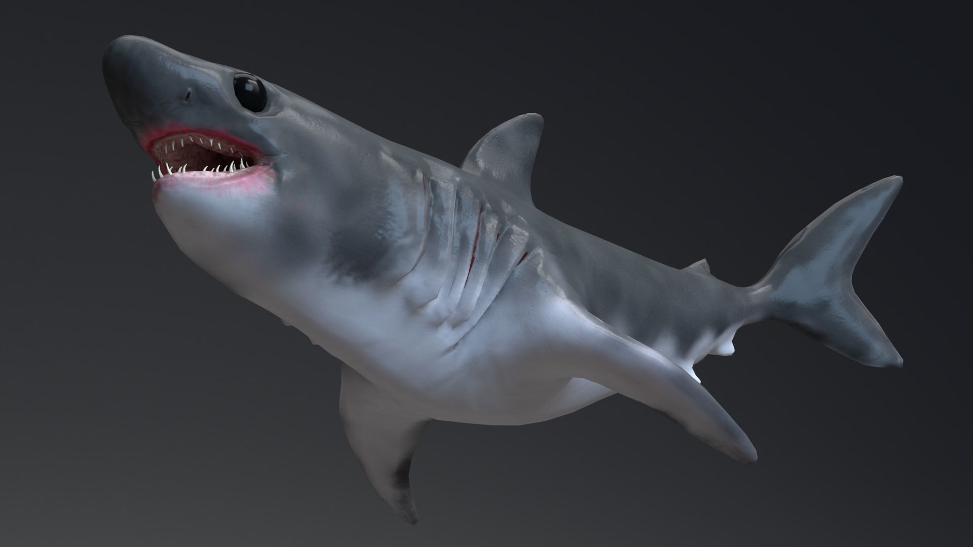Baby Shark Model - 18 Animations Low-poly 3D model_6