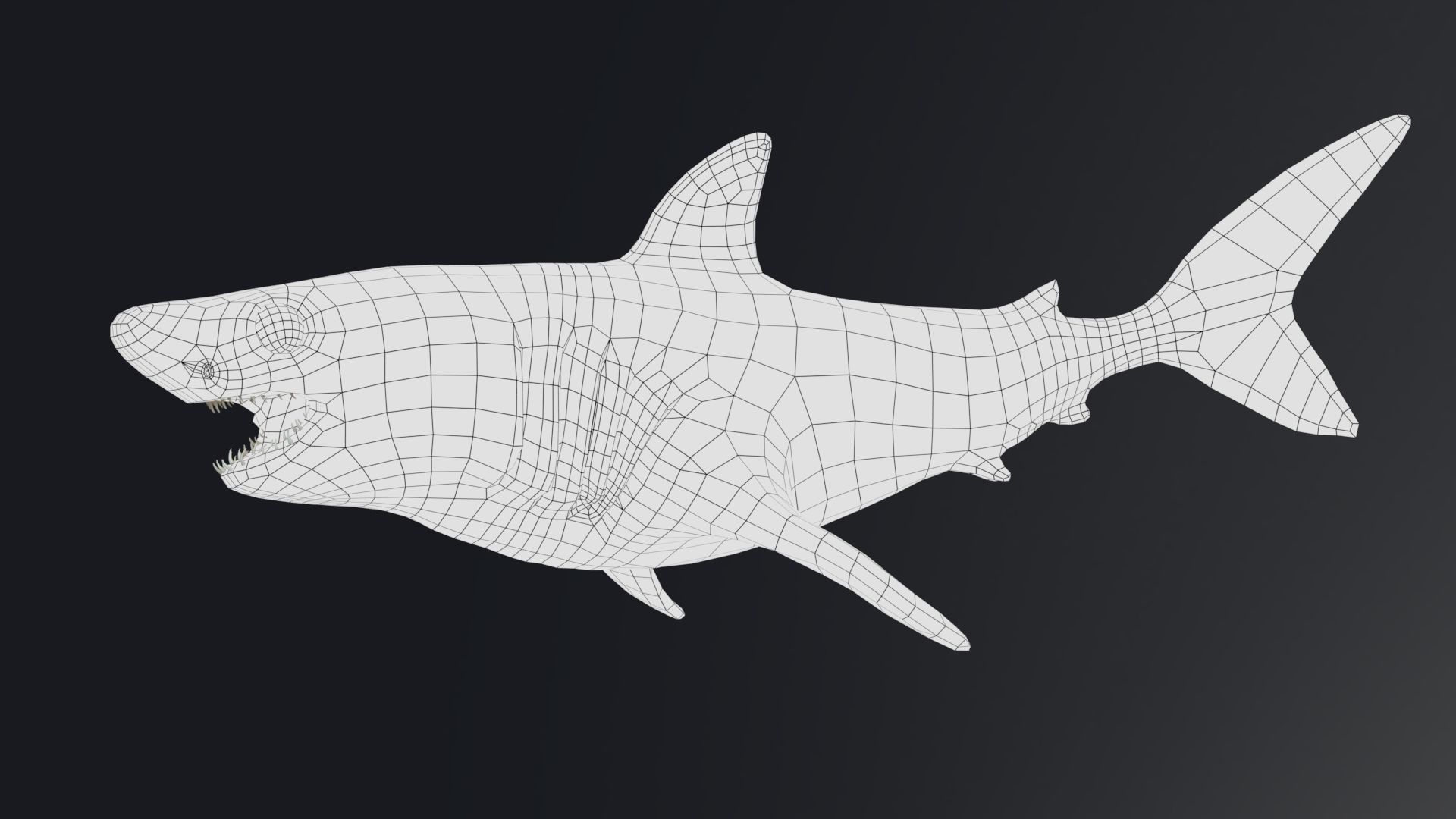 Baby Shark Model - 18 Animations Low-poly 3D model_12