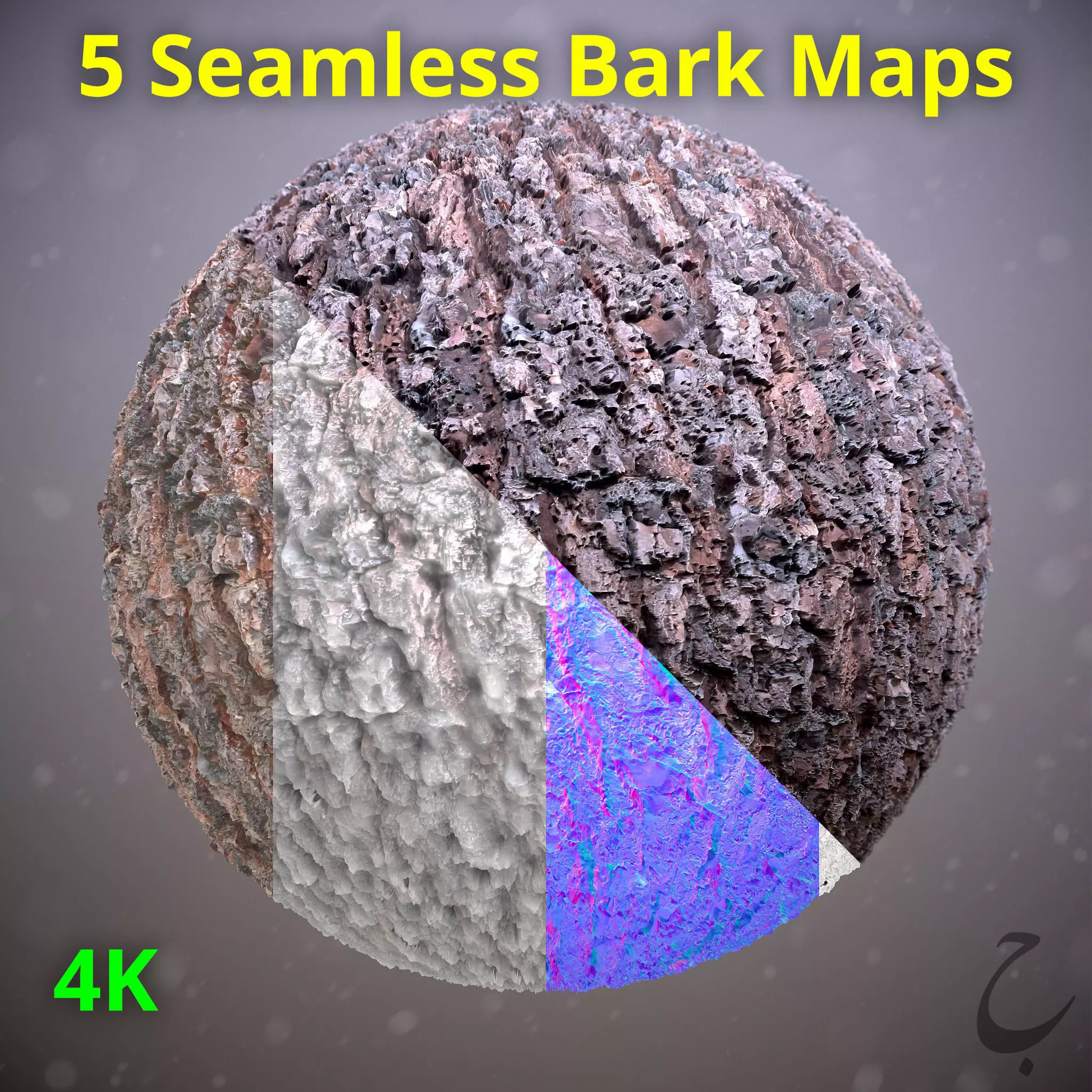 5 Bark textures 4K Vol 01 Texture | CGTrader