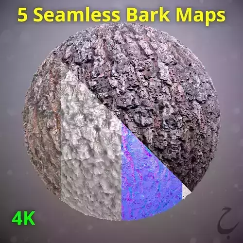 5 Bark textures 4K Vol 01