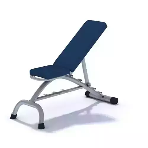 Blue Multi Position Gym Bench