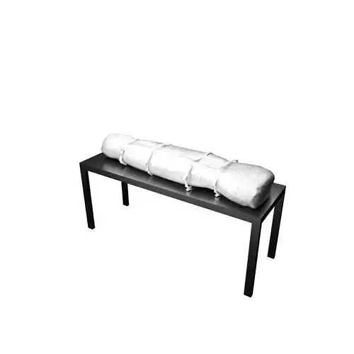 Cropse blanket on table 3D model