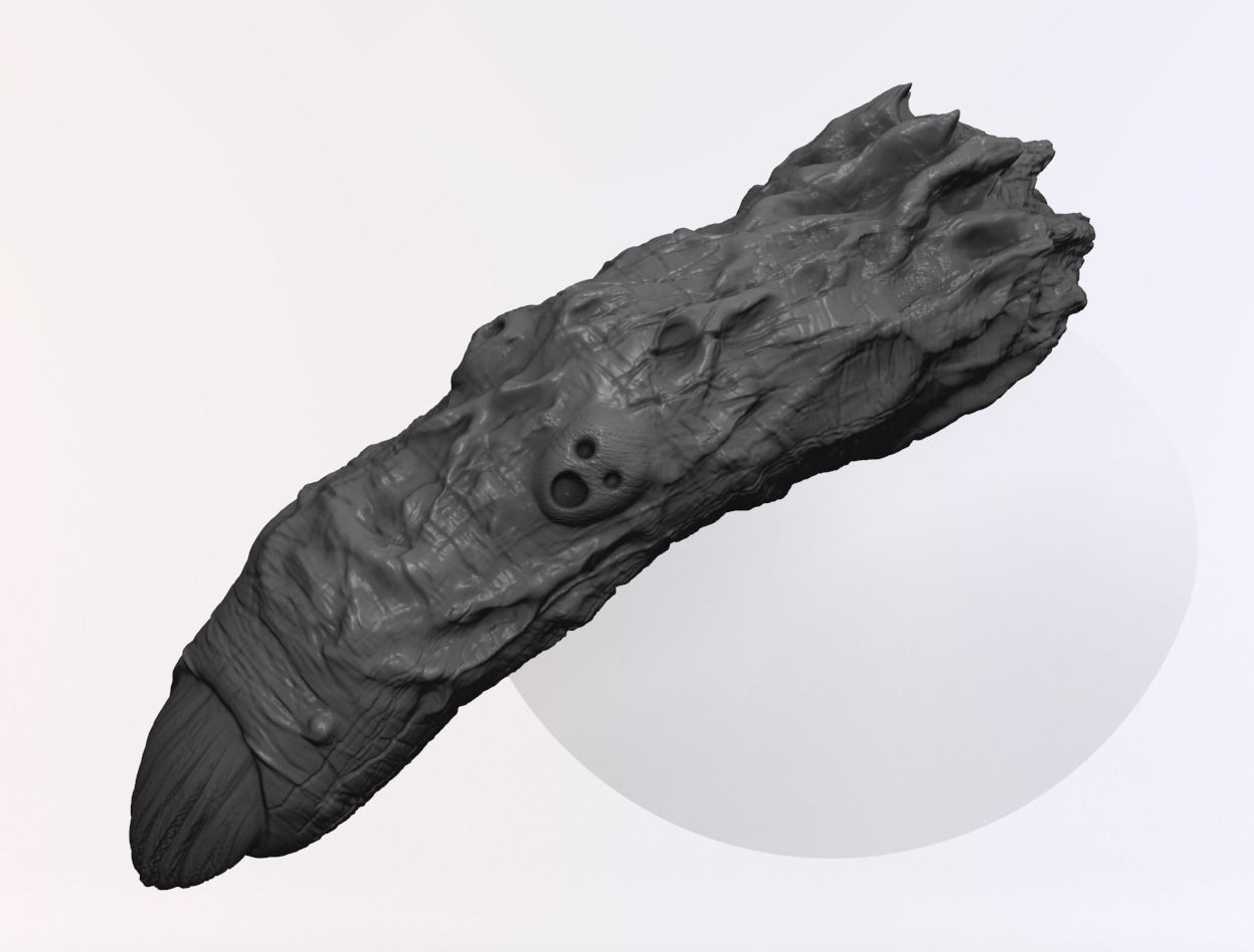 Sukuna Finger   Jujutsu Kaisen 3D print model_4