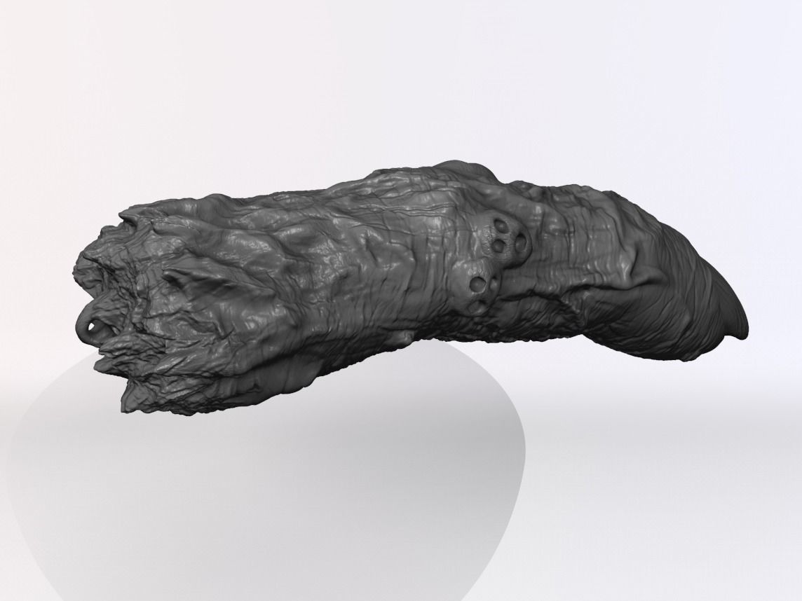 Sukuna Finger   Jujutsu Kaisen 3D print model_3