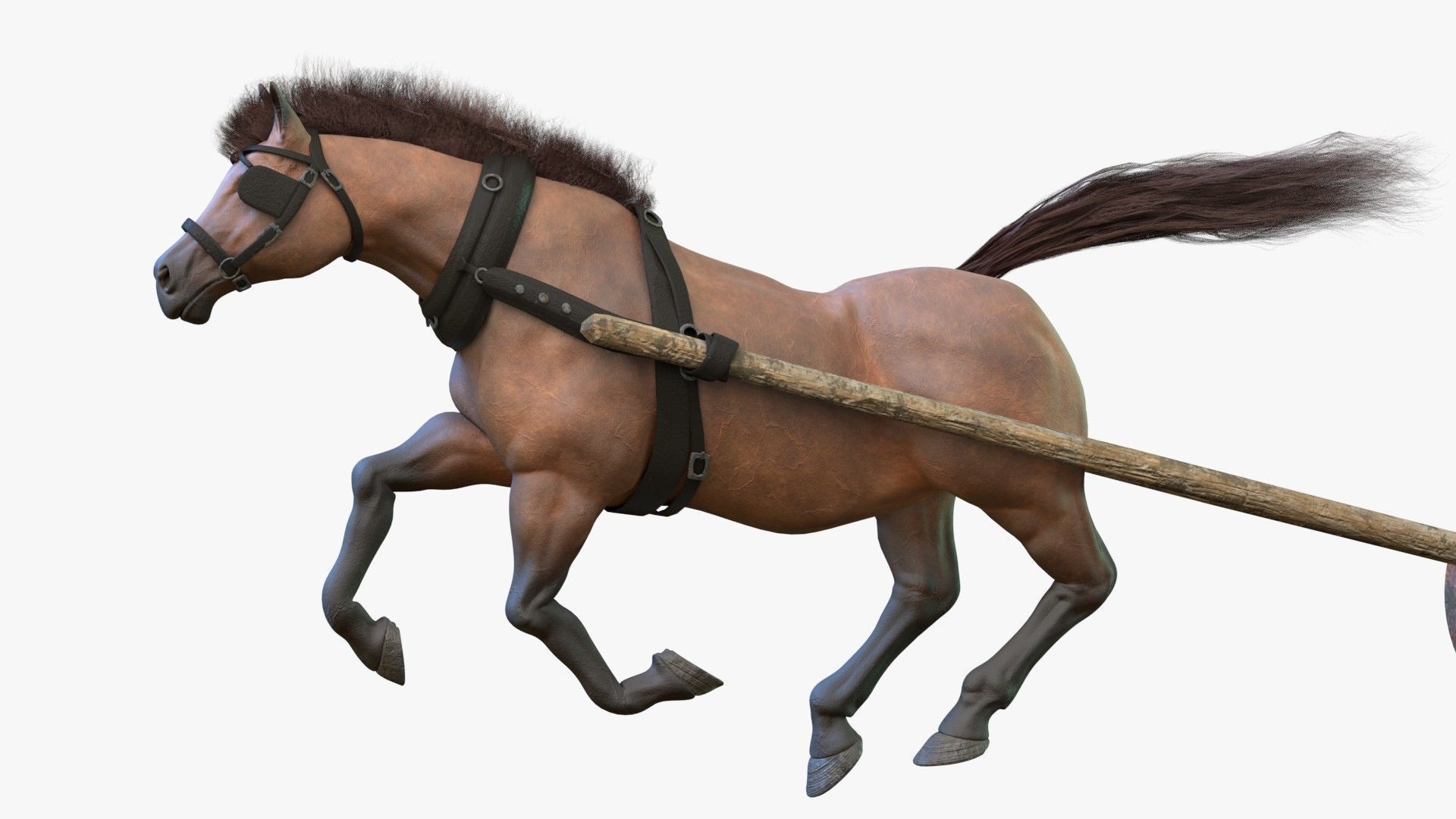 Dray with Horse Rigged Low-poly 3D model_14