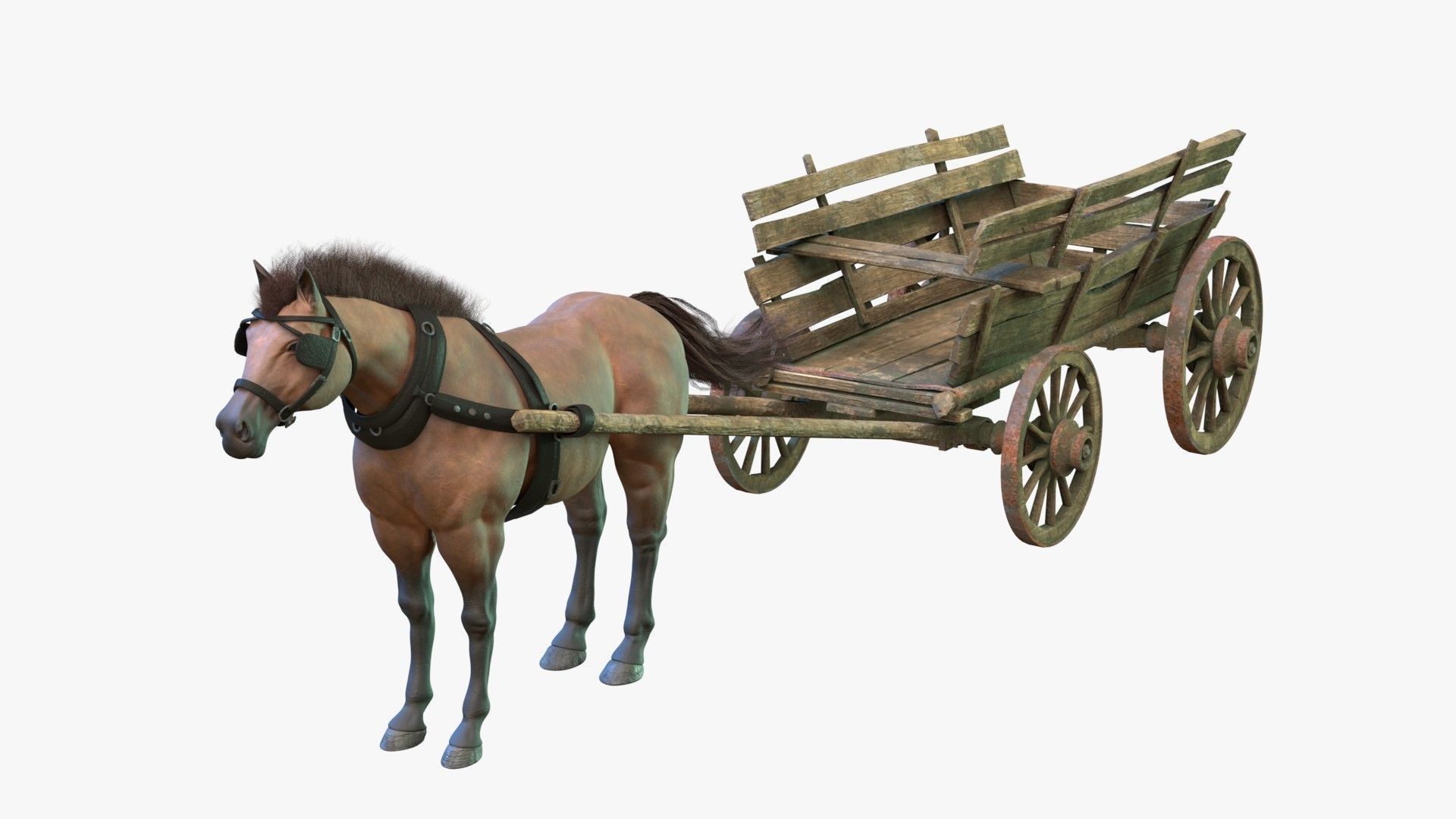 Dray with Horse Rigged Low-poly 3D model_3