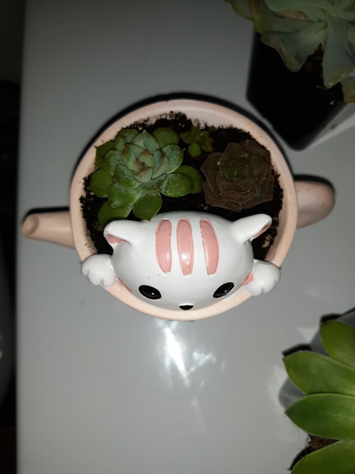 Mini Kitty Planter STL for 3D printing  - planter 3D print model_8
