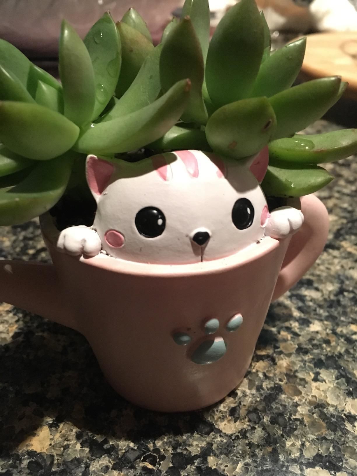Mini Kitty Planter STL for 3D printing  - planter 3D print model_3