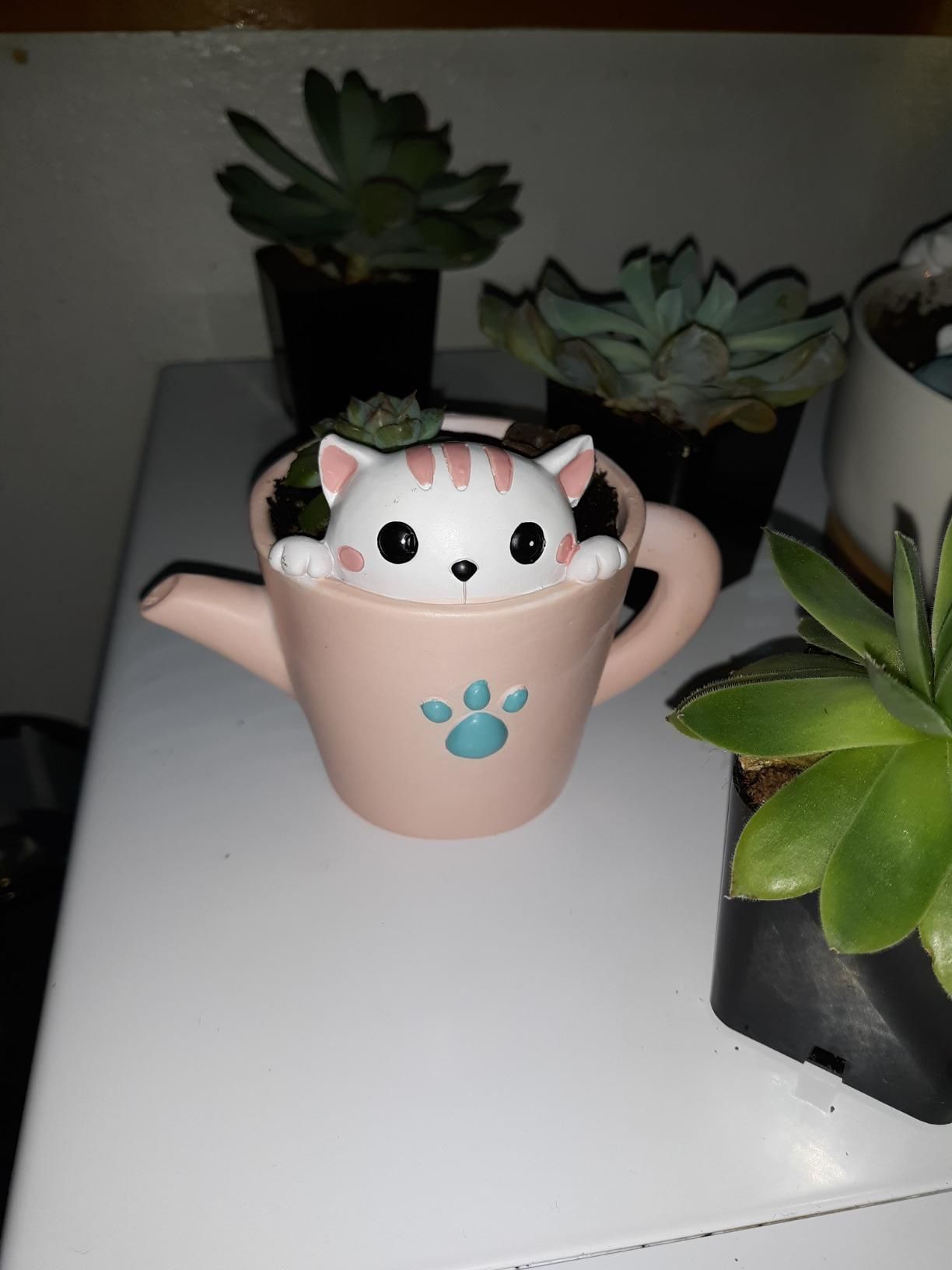 Mini Kitty Planter STL for 3D printing  - planter 3D print model_2