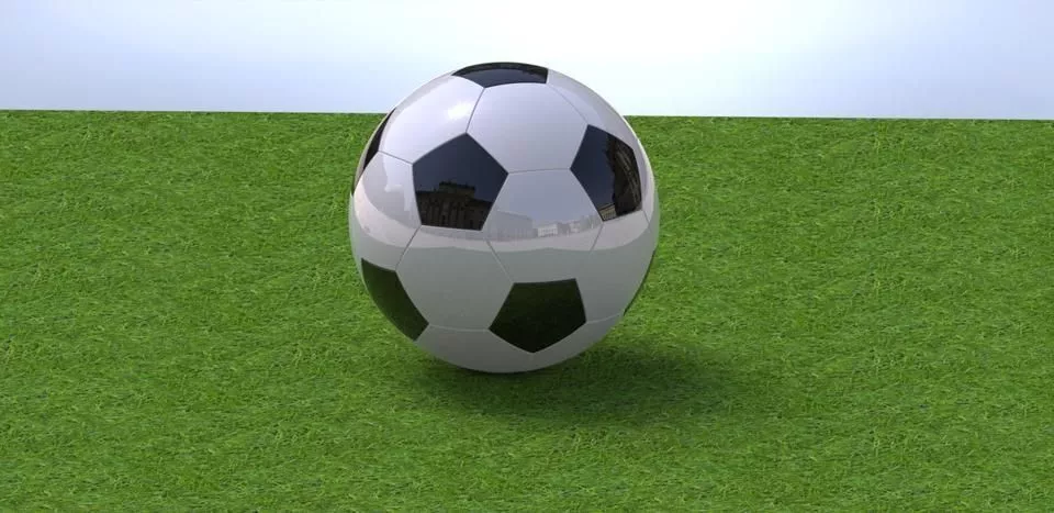 football soccer ball on grass Free 3D model