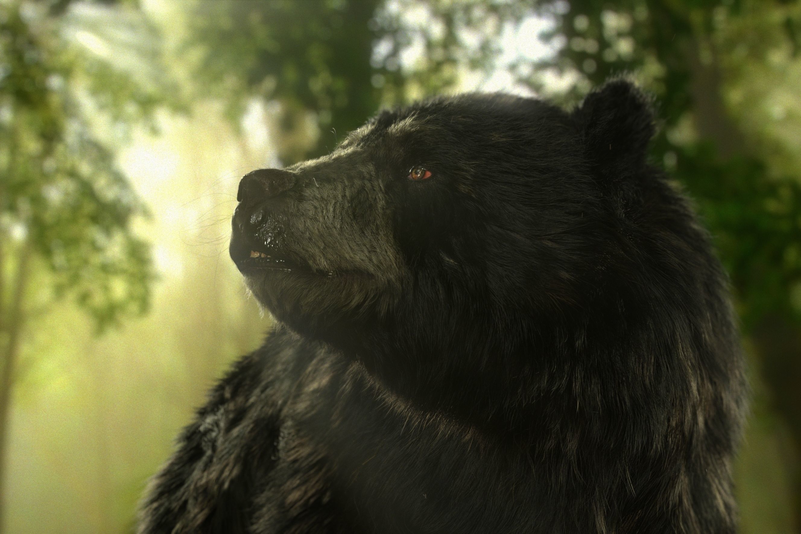 black bear RIGGED 3D model_2