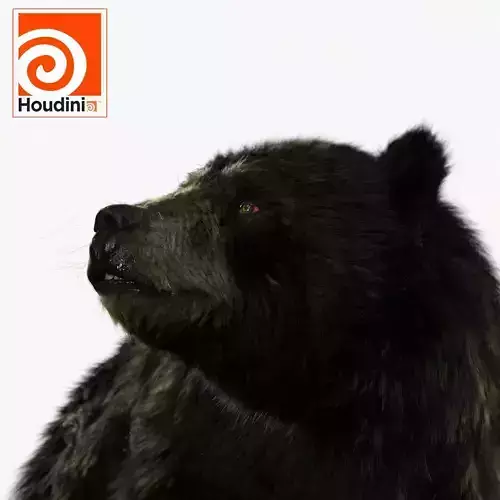 black bear RIGGED 3D model