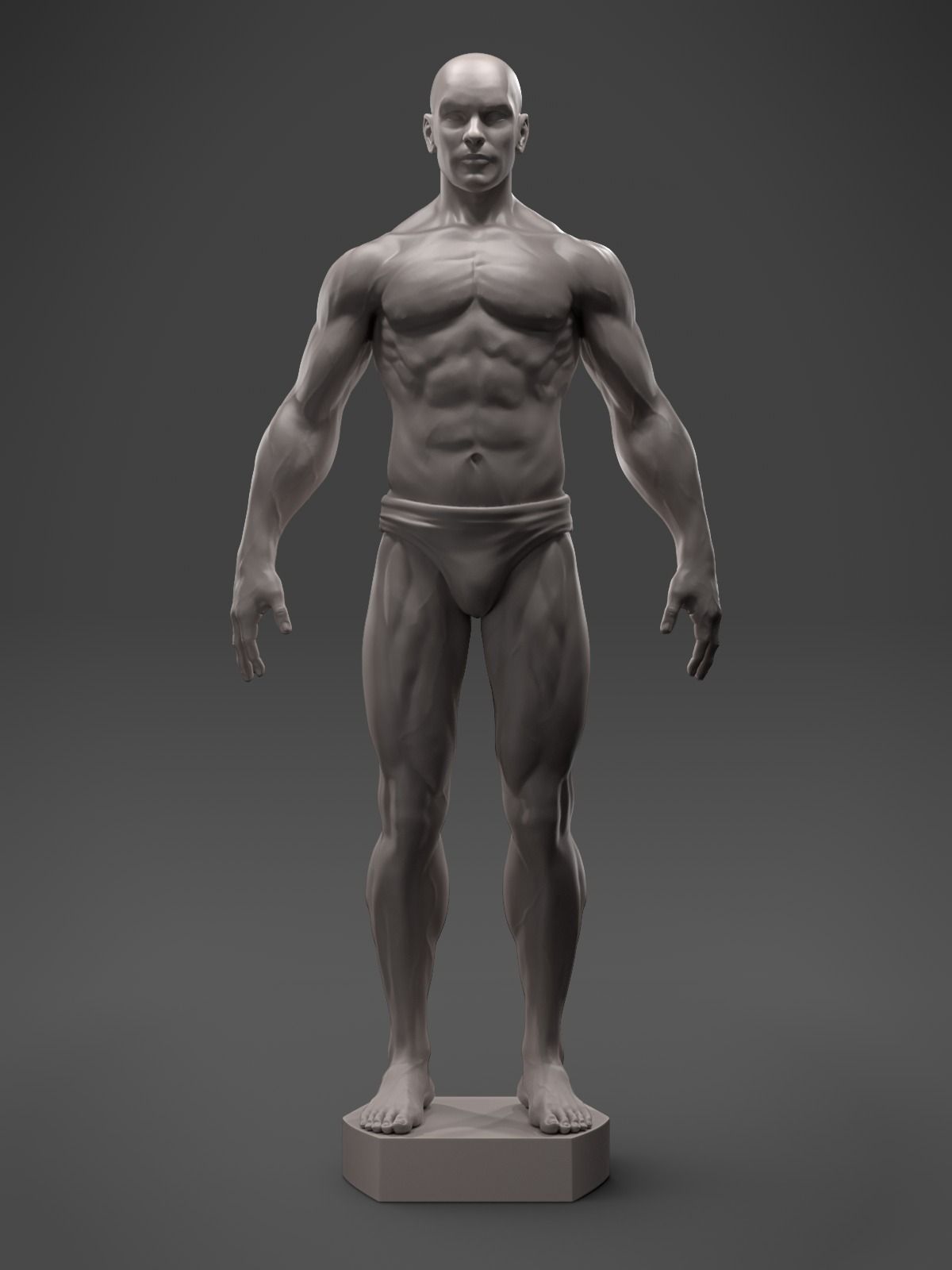 Male Anatomy Sculpture 3D print model_4