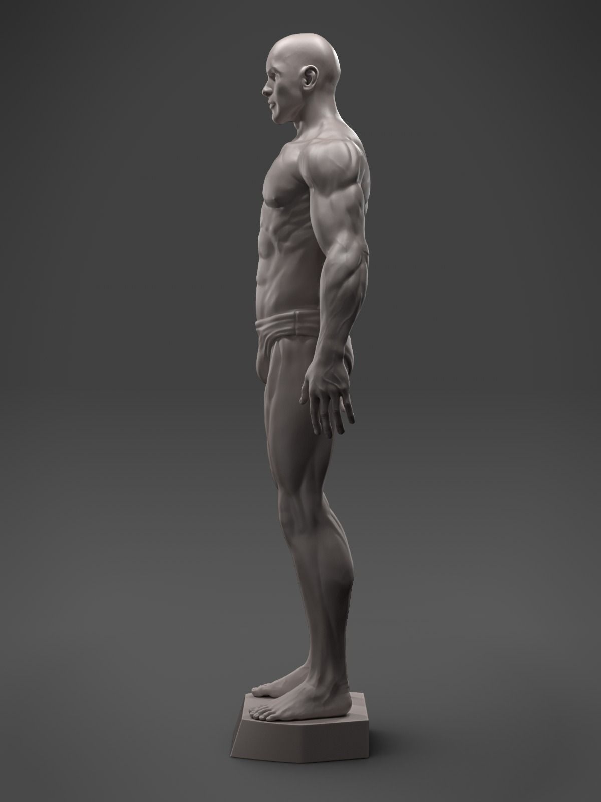 Male Anatomy Sculpture 3D print model_2