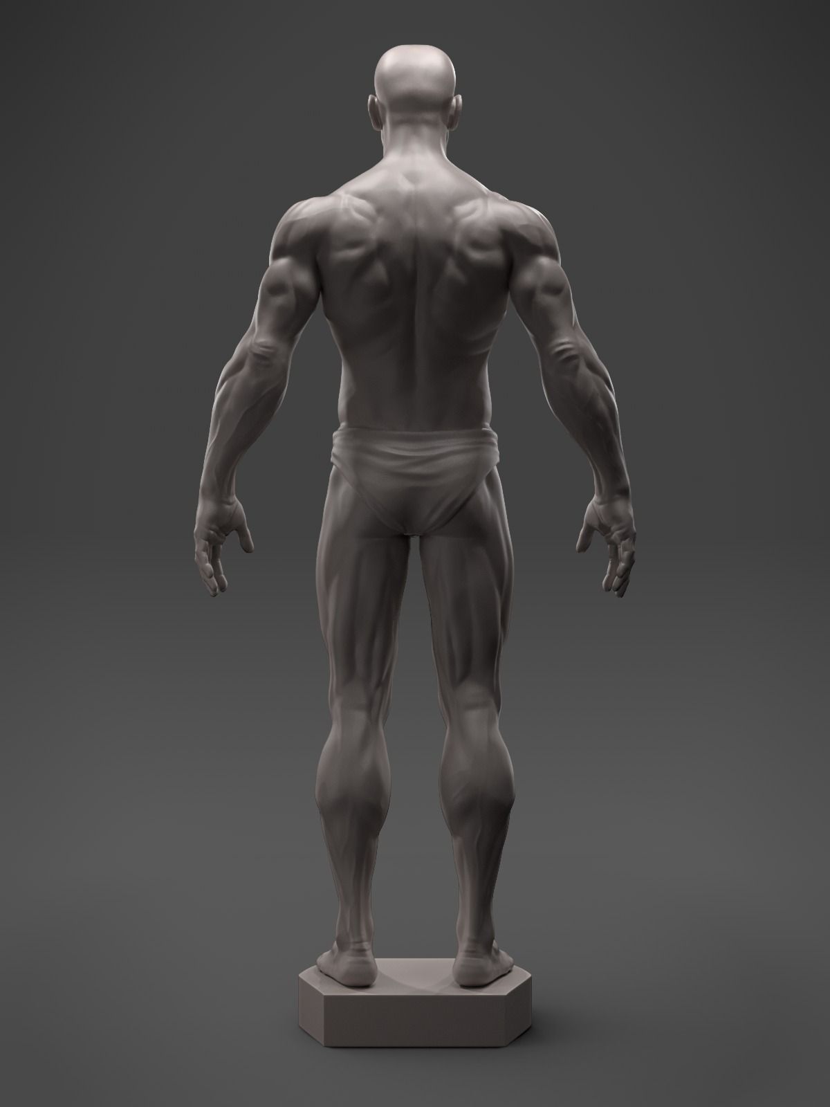 Male Anatomy Sculpture 3D print model_7