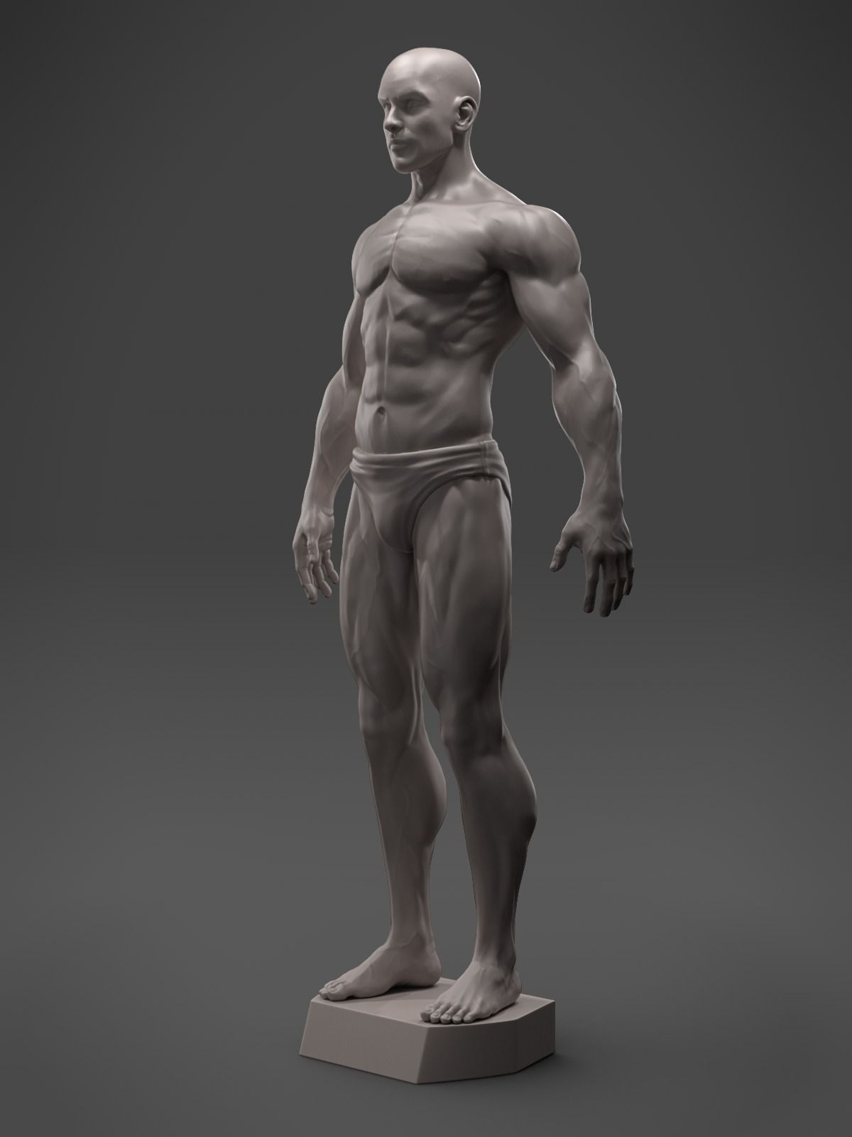 Male Anatomy Sculpture 3D print model_3