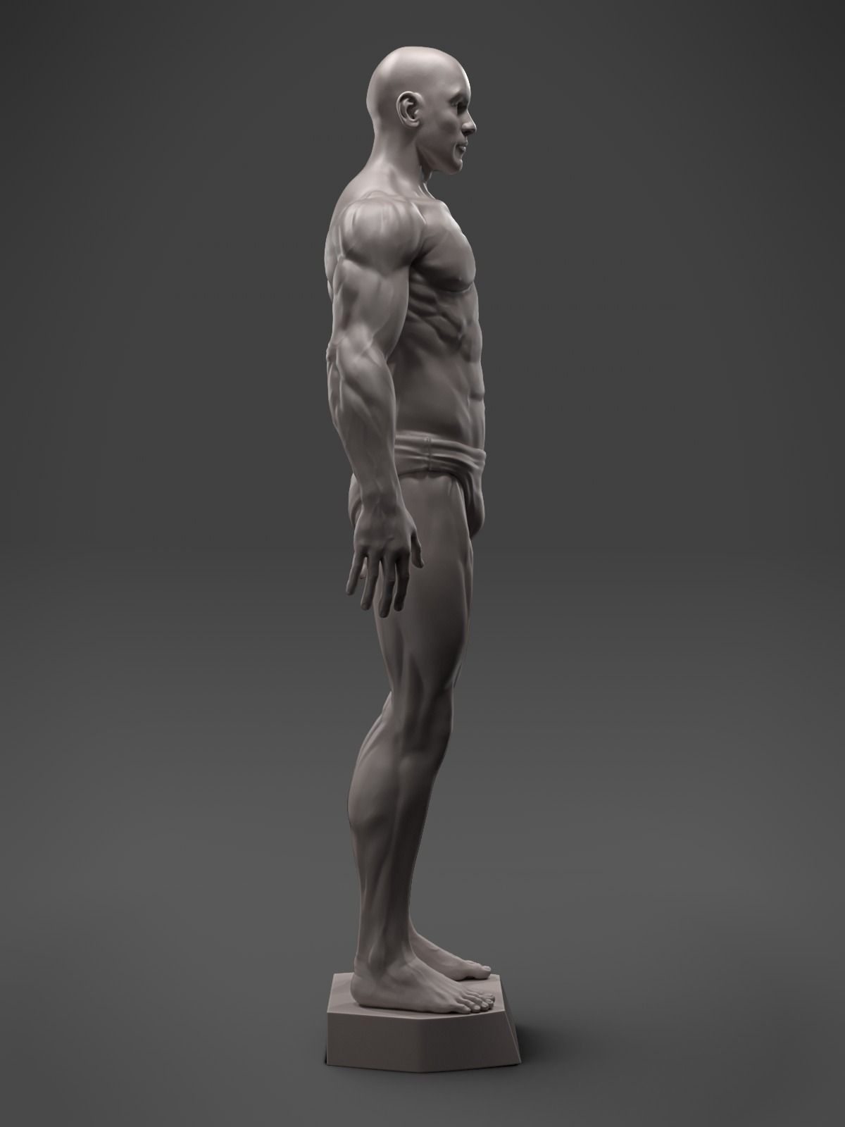 Male Anatomy Sculpture 3D print model_6