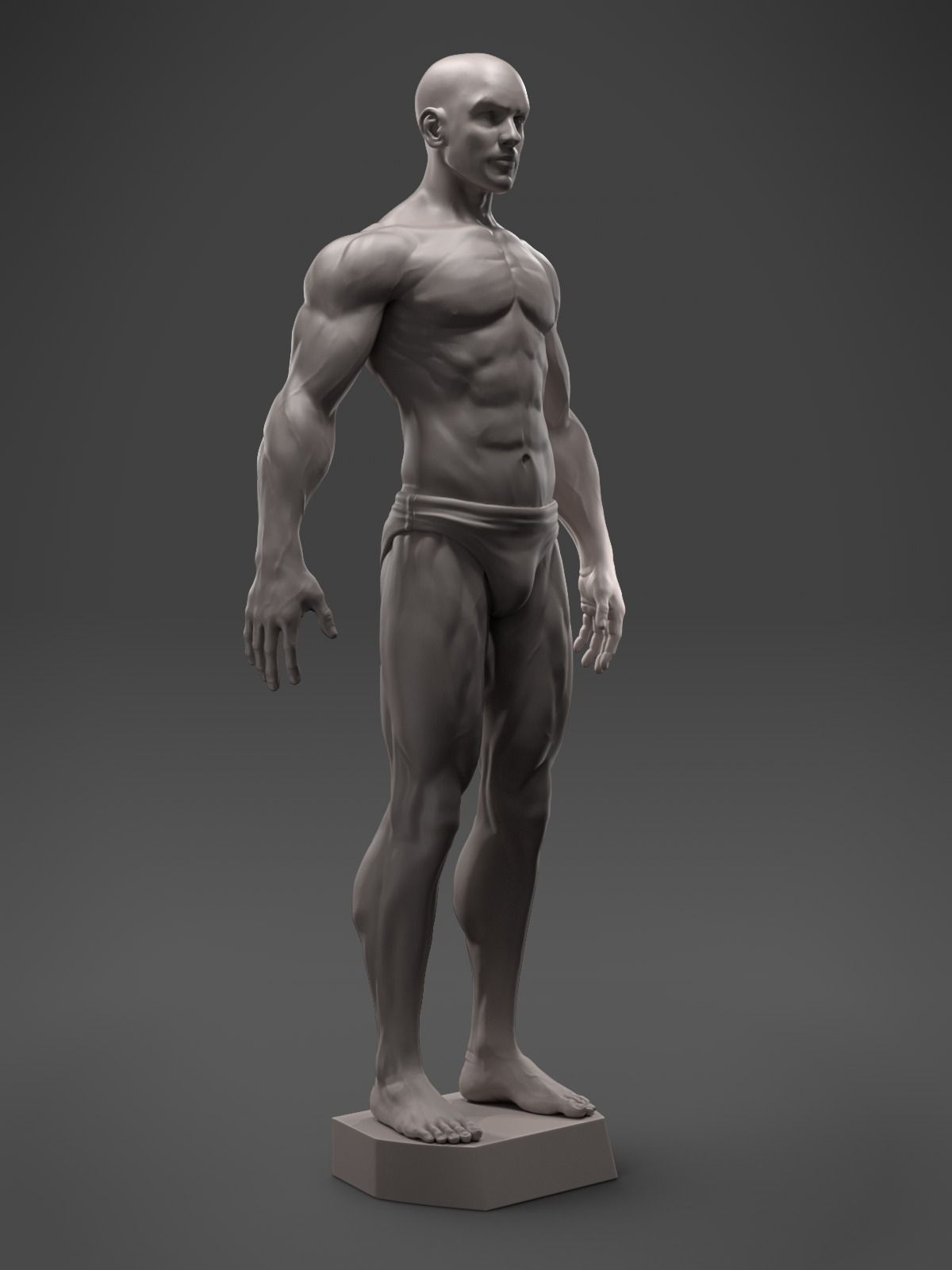 Male Anatomy Sculpture 3D print model_5
