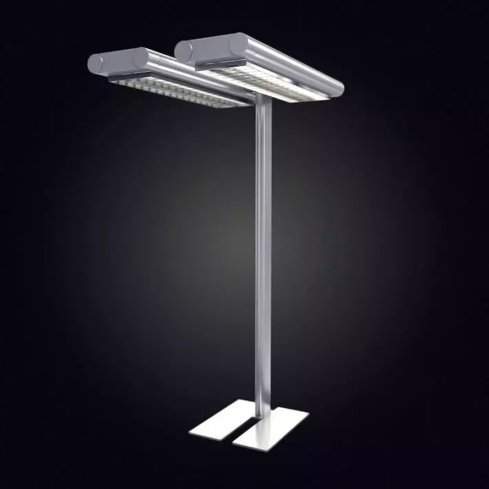 Twin Light Lamp Post 3D model_0