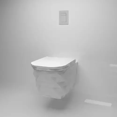 Wall mounted ceramic toilet