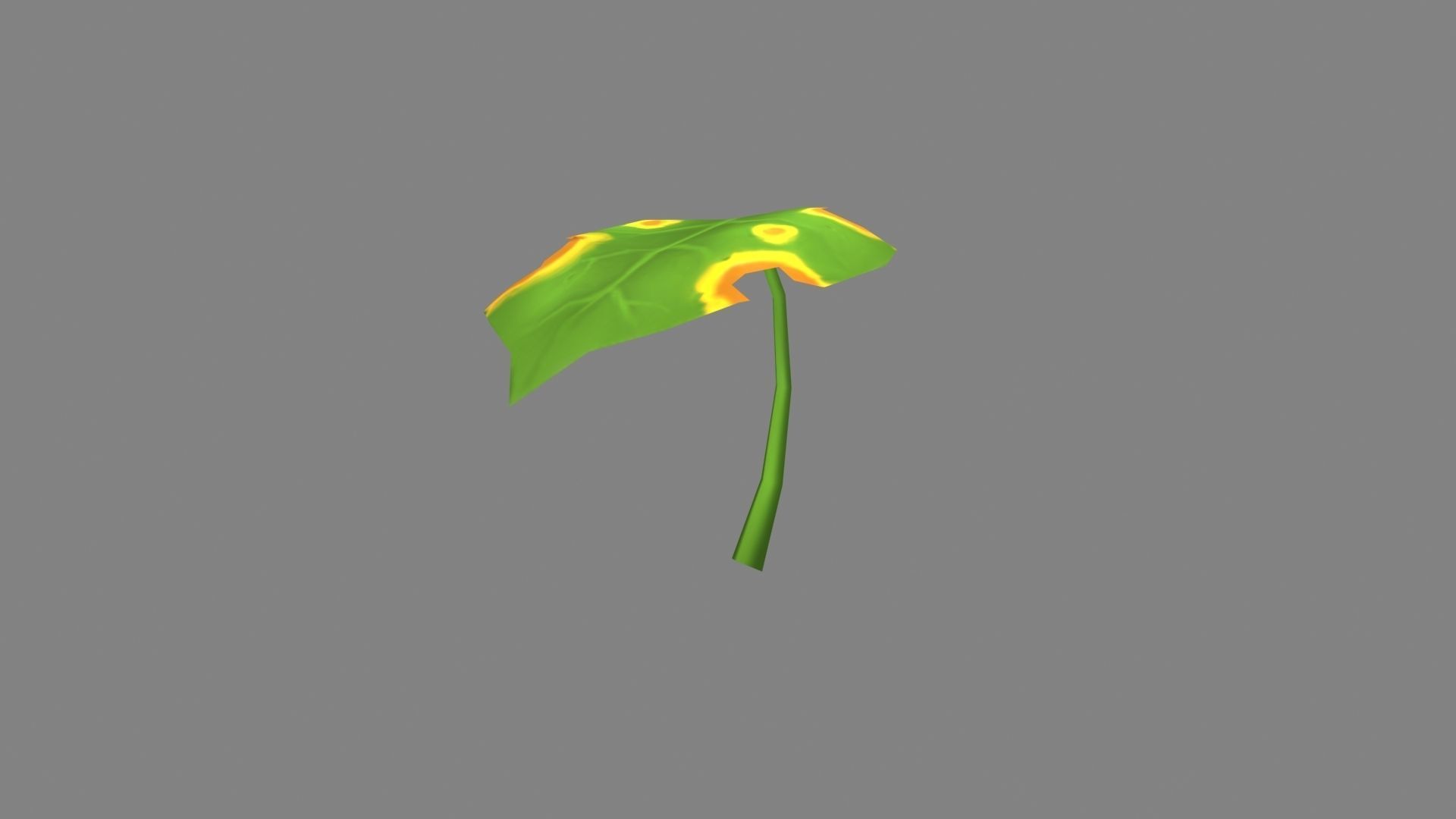 Cartoon withered leaf       Low-poly 3D model_2