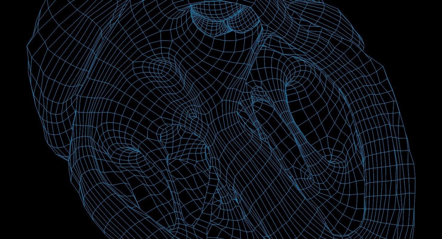 Animated Realistic Human Heart - Medically Accurate Low-poly 3D model_69